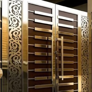 Modern Entrance Steel Gate Design in Stainless Steel by Aryan Steel Art